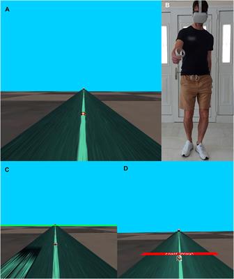 A comparison of two methods for moving through a virtual environment: walking in place and interactive redirected walking